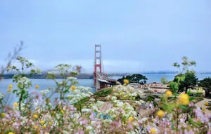 Embrace California's Laidback Summer Vibes Wallpaper