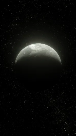 Embrace The Contrast Of Black And White Wallpaper