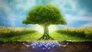 Embrace The Environment - World Environment Day Wallpaper