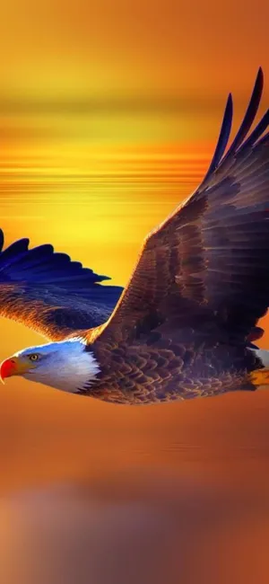 Embrace The Latest And Greatest Technology With An Iphone Designed Like An Eagle Wallpaper