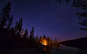 Embrace The Mysterious Beauty Of Nature At Night Wallpaper