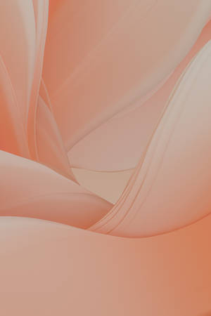 Embrace The Warmth: A Delightful Display Of Pastel Orange Aesthetic Wallpaper