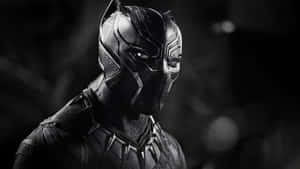 Embrace The Wild Side Of Nature With Black Panther Landscape Wallpaper