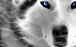 Embracing The Mystical Wolf Wallpaper