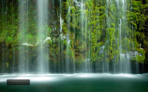 Emerald Green Waterfall Trees Wallpaper