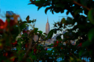 Empire State Building In Nature Wallpaper