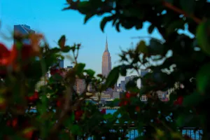 Empire State Building In Nature Wallpaper