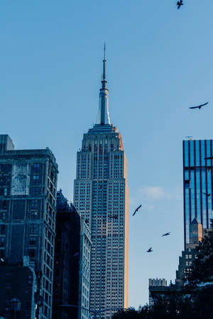 Empire State Building Viewed From The Ground Wallpaper