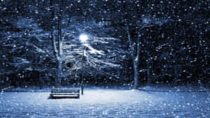 Empty Bench With Snow Falling Wallpaper