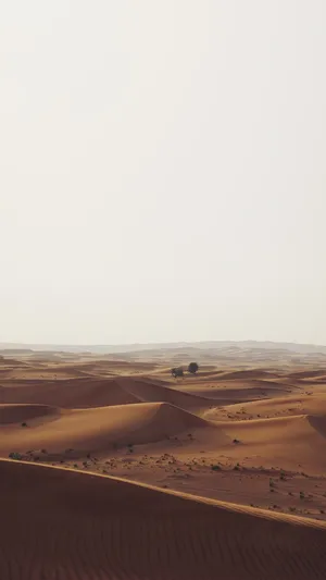 Empty Desert Iphone Wallpaper