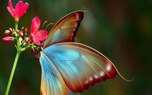 Enchanting Butterfly And Pink Flowers Wallpaper
