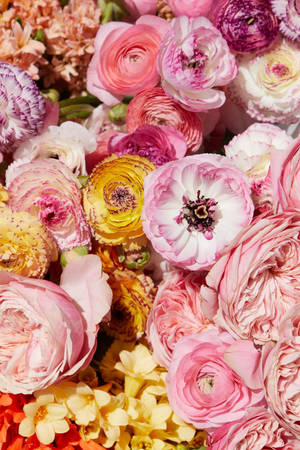 Enchanting Floral Lock Screen Wallpaper