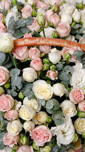 Enchanting Trio Of Pink, Gray And Yellow Roses Blooming On Iphone Background Wallpaper