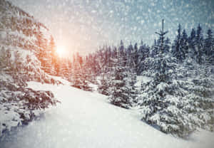 Enchanting Winter Wonderland Scene Wallpaper