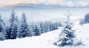 Enchanting Winter Wonderland Scene Wallpaper