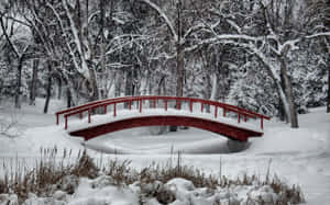 Enchanting Winter Wonderland Wallpaper