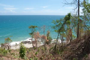 Endemic Island Wallpaper