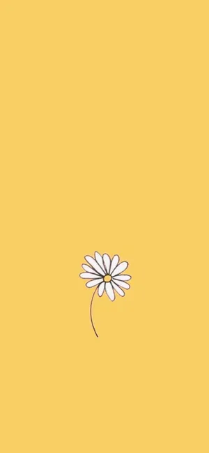 Enhance The Beauty Of Your Iphone With This Inspirational Sunflower Aesthetic Wallpaper Wallpaper