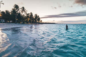 Enjoy A Day Of Rest And Relaxation Under The Caribbean Sun Wallpaper