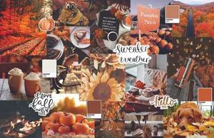 Enjoy A Mix Of Nature's Autumn Splendor Wallpaper