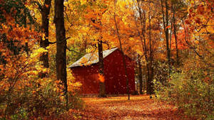 Enjoy A Peaceful Autumn Weekend Escape In A Cozy Cabin In The Woods. Wallpaper
