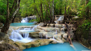 Enjoy A Peaceful Moment On A Peaceful Tropical Beach Wallpaper