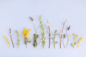 Enjoy A Refreshment Outdoors During Summertime Wallpaper