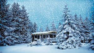 Enjoy A Snow-covered Winter Wonderland Wallpaper