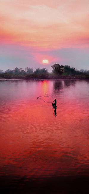 Enjoy A Stunning Pink Sunset With Your Iphone Wallpaper