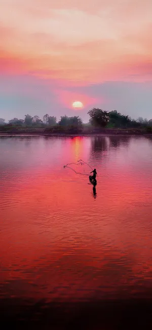 Enjoy A Stunning Pink Sunset With Your Iphone Wallpaper