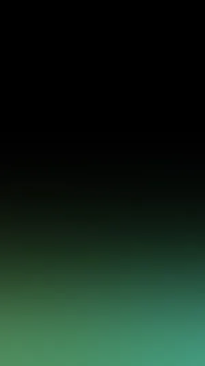 Enjoy A Vibrant Black Ombre Look Wallpaper