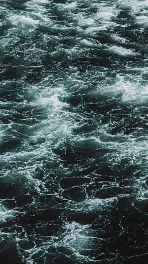 Enjoy Freedom And Explore The Blue World. Wallpaper