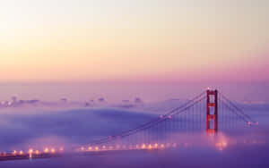 Enjoy Life In San Francisco On-the-go With A Laptop Wallpaper