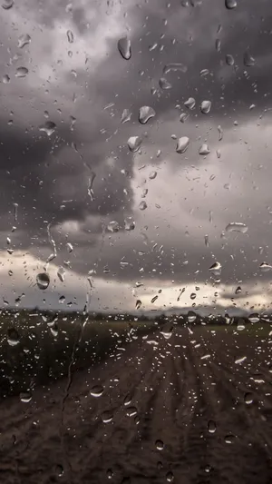 Enjoy Nature's Beauty As Seen On Your Iphone Wallpaper