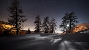 Enjoy The Beautiful Clear View Of Nature Wallpaper