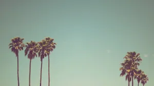 Enjoy The Beauty And Tranquility Of Santa Ana Wallpaper