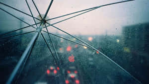 Enjoy The Beauty Of A Rainy Day. Wallpaper