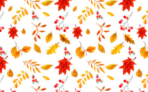 Enjoy The Beauty Of Autumnal Foliage While It Lasts Wallpaper