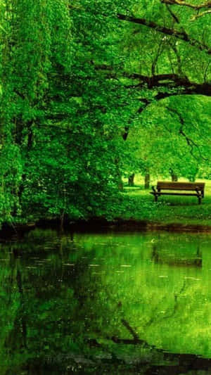 Enjoy The Beauty Of Green Nature With An Iphone Wallpaper