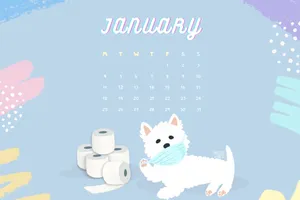 Enjoy The Beauty Of January Wallpaper