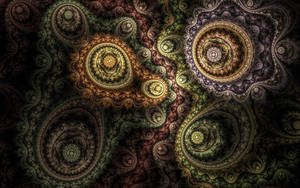 Enjoy The Beauty Of Nature In A Spiral Pattern Wallpaper