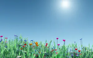 Enjoy The Beauty Of Nature In The Springtime With A Vibrant Green Forest. Wallpaper