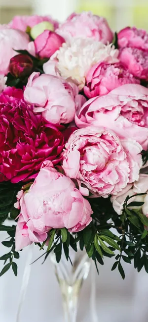Enjoy The Beauty Of Peonies On Your Iphone Wallpaper