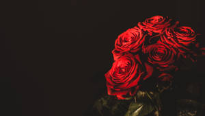 Enjoy The Beauty Of Roses On Your Desktop Wallpaper