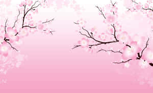 Enjoy The Beauty Of Sakura Blossom In A Peaceful Spring Day Wallpaper
