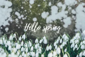 Enjoy The Beauty Of Spring With This Cheerful Desktop Wallpaper Wallpaper