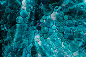 Enjoy The Beauty Of The Dark Blue Bubbles Wallpaper