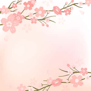 Enjoy The Beauty Of The Sakura Blossom! Wallpaper