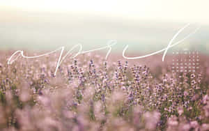 Enjoy The Beauty Of The Season With This Gorgeous Spring Aesthetic Desktop Wallpaper! Wallpaper