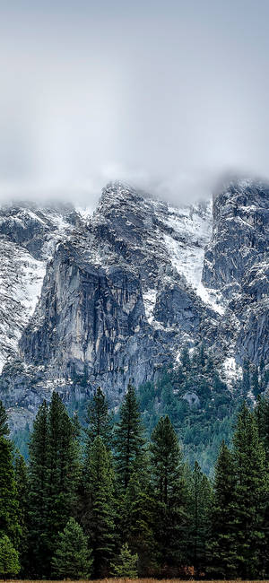 Enjoy The Beauty Of Yosemite On Your Iphone Wallpaper